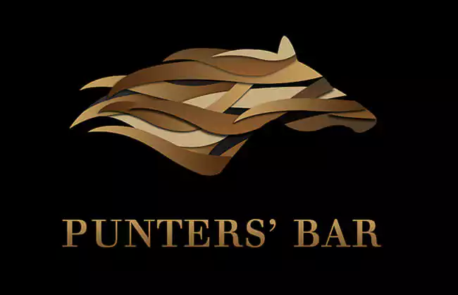 Punters Bar Dundalk logo design by bounce studios graphic design dundalk louth