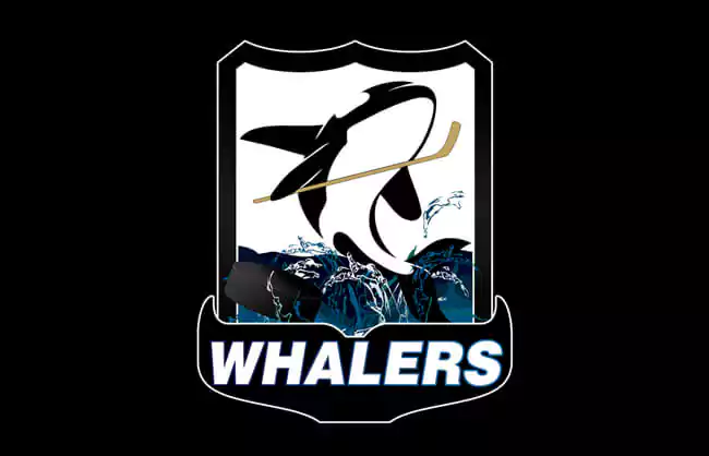 Whalers Ice Hockey logo design by bounce studios graphic design dundalk louth